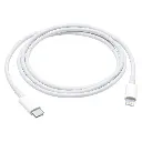 50cf21e7-069a-4a28-a8fb-18ec76a5aab4.webp